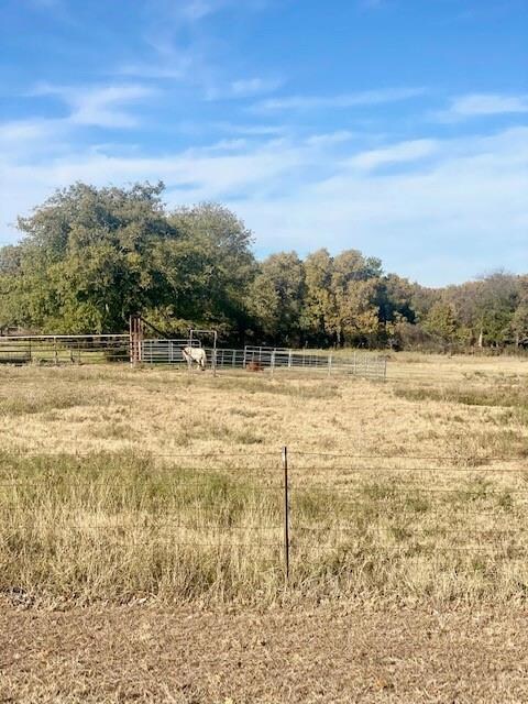 212 Bullion Rd, Springtown, TX 76082 - photo 2
