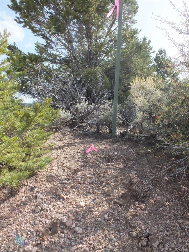 0 Santana Rd, Blanca, CO 81133 - photo 6