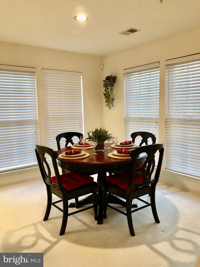 5622 Triplett Rd, Owings Mills, MD 21117 - photo 6