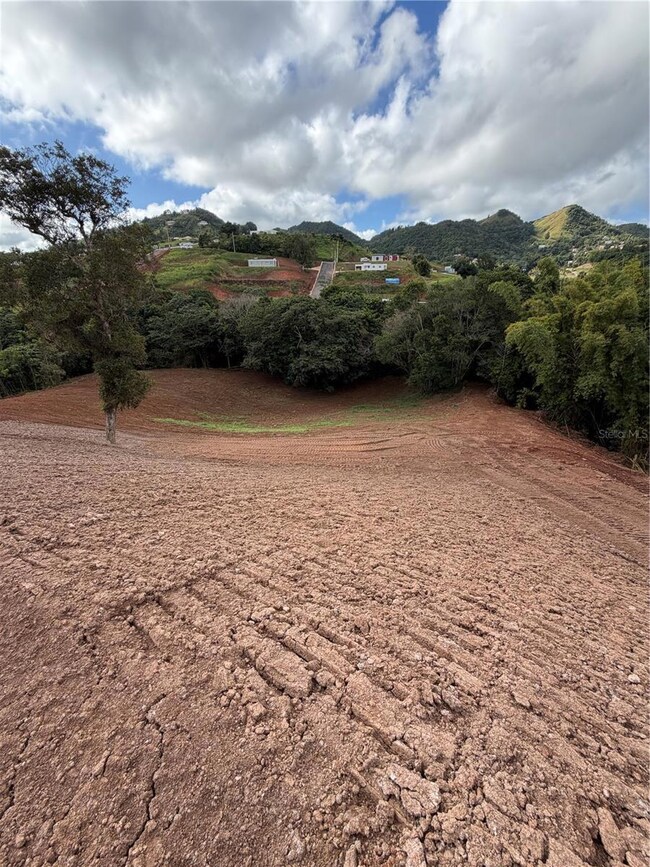 0 Carr 155 Km 31 2 Int Bo Barros unit Lote 3, Orocovis, PR 00720 - photo 7