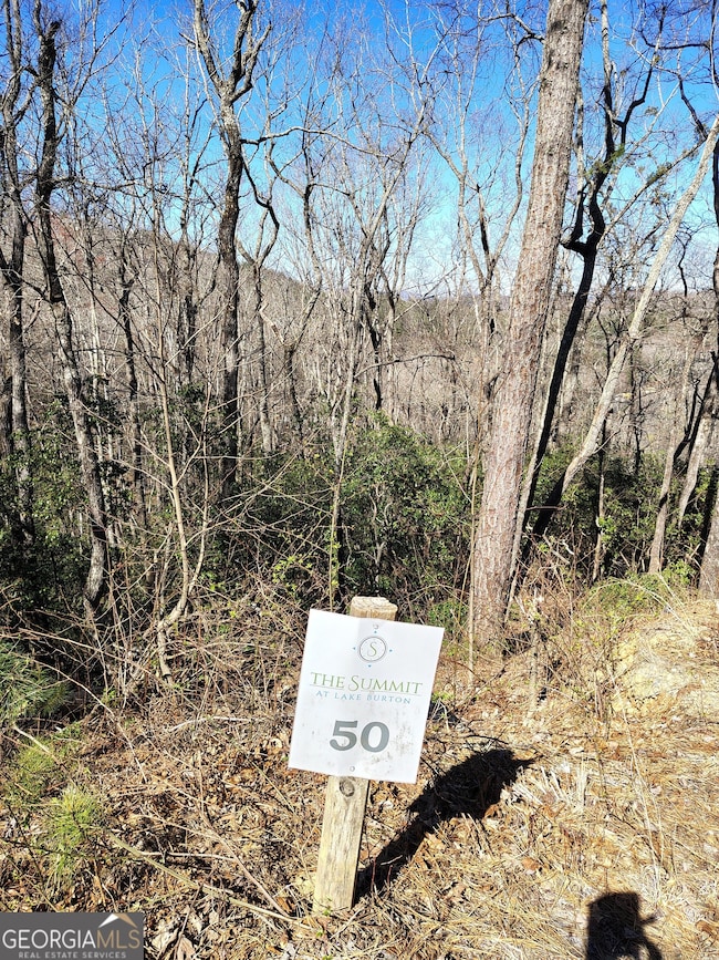 0 Ivy Ridge Way unit LOT 50 10487398, Clarkesville, GA 30523 - photo 4