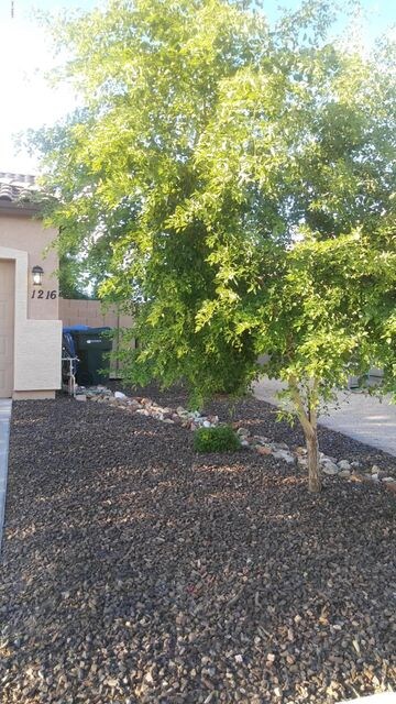 Nice size front yard