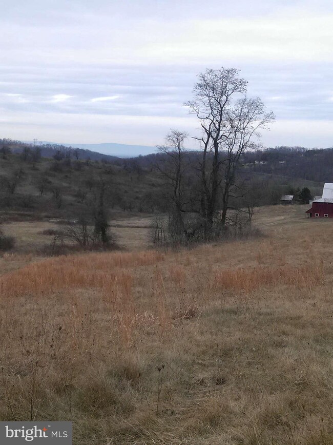 0 Pickrell Dr unit 1003346412, Front Royal, VA 22630 - photo 4