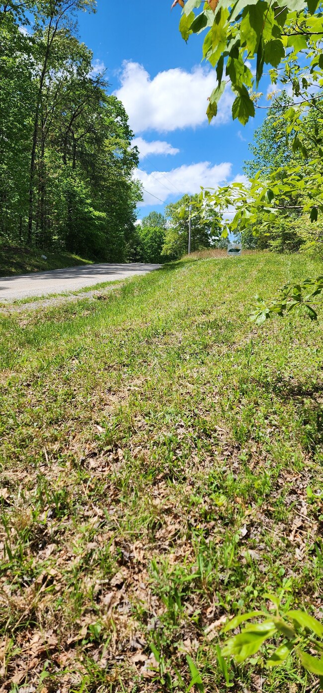 0 Tootley Campbell Rd, Monteagle, TN 37356 - photo 6