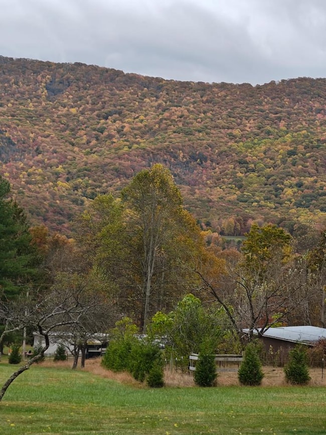 127 Anns Ln, Bastian, VA 24314 - photo 6