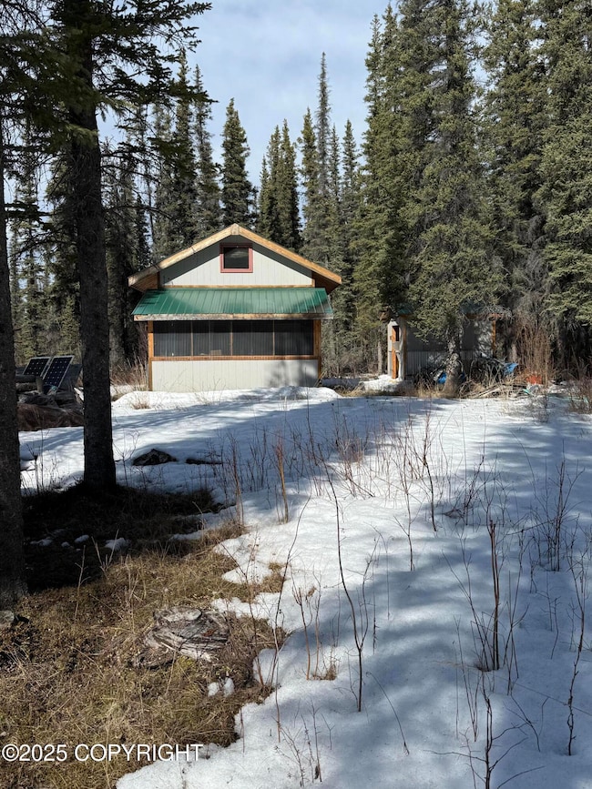 Little Cabin in the Woods!