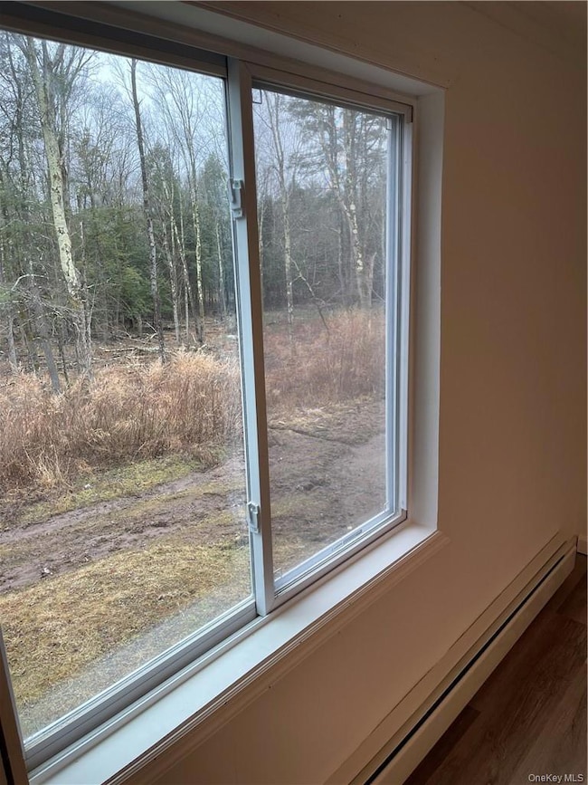 4927 State Route 55, Swan Lake, NY 12783 - photo 4