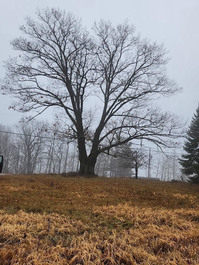 W6926 Mae Rd W, Ladysmith, WI 54848 - photo 4