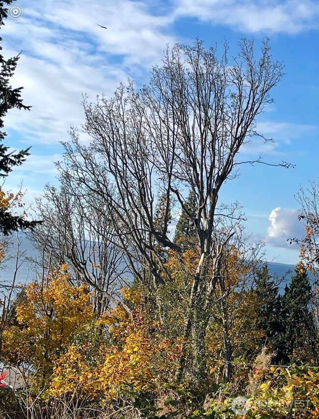 8795 Charel Dr, Blaine, WA 98230 - photo 5