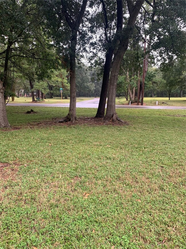 0 Gailey Ln, Houston, TX 77040 - photo 3