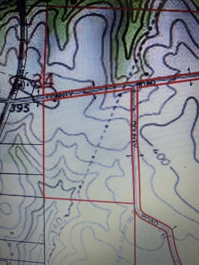 10 +-ac,Lot 1PL Cty Rd 140 Cty Rd 141, Headland, AL 36345 - photo 3