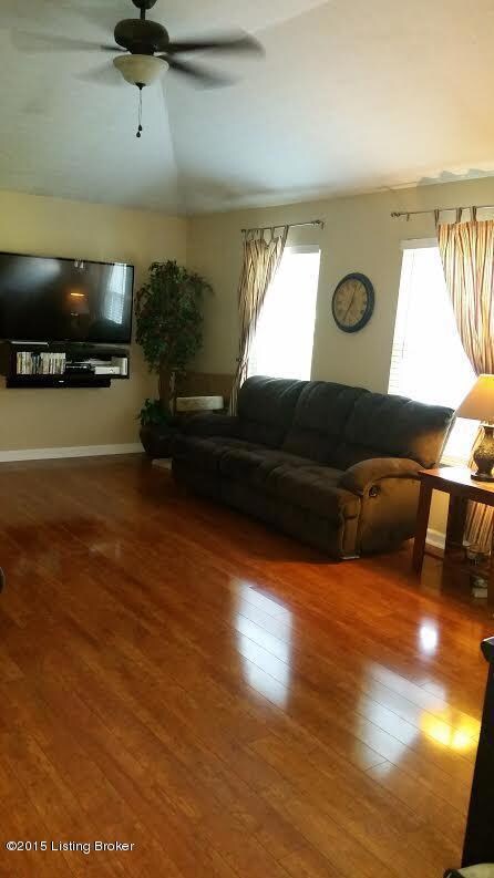 5 - living room windows