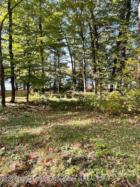 0 E Englewright Dr, Ensley Township, MI 49343 - photo 5