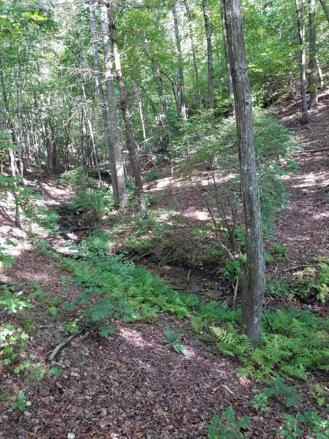 6 Stream