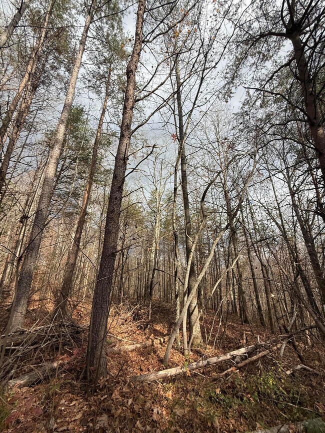 Lot 2 Parksville Rd, Benton, TN 37307 - photo 7