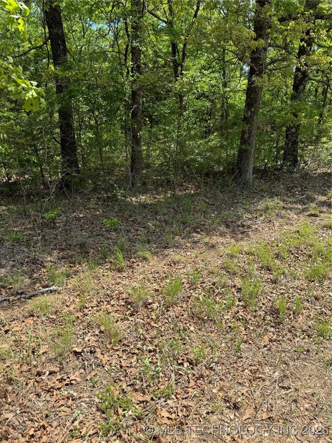 13 S 4532 Dr, Vian, OK 74962 - photo 4