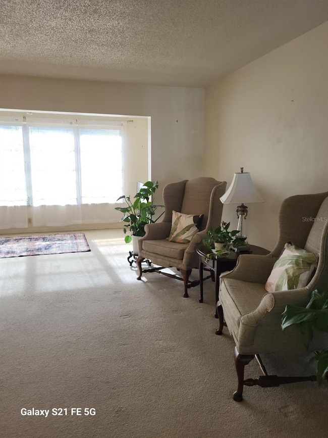 unlisted-address, Saint Petersburg, FL 33709 - photo 3