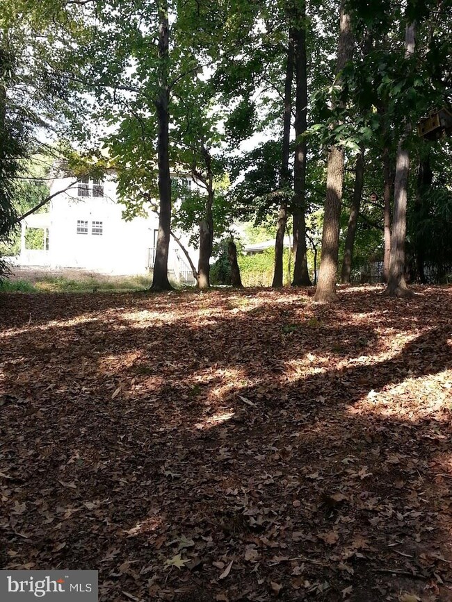 4810 Bayonne Ave, Baltimore, MD 21206 - photo 6