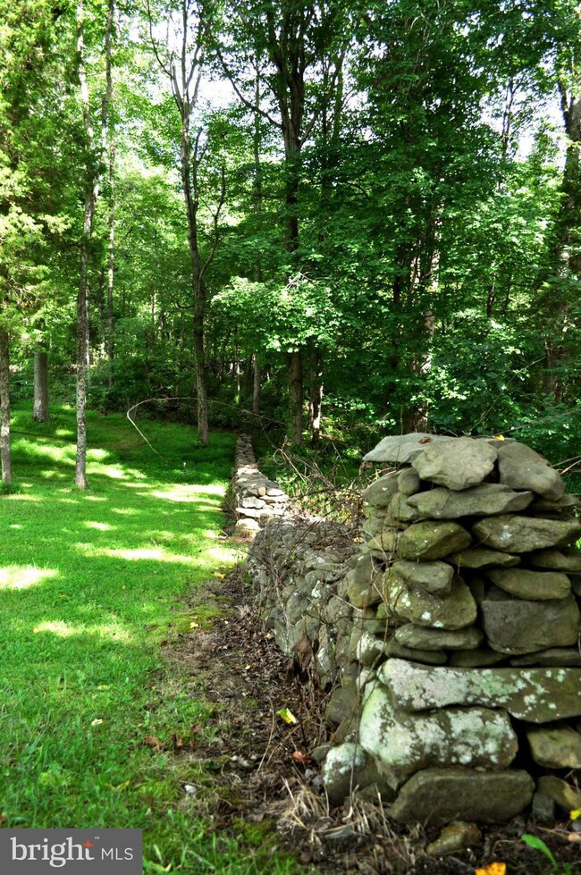 9486 Deer Run Ln, Marshall, VA 20115 - photo 6