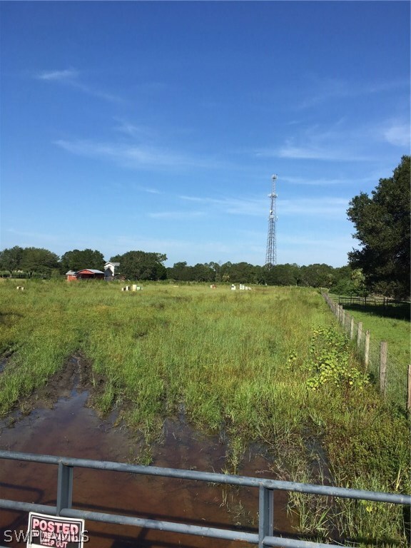 3320 Packinghouse Rd, Alva, FL 33920 - photo 3