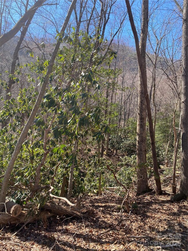 0000 Raleigh Dr unit 8 & 9, Lake Lure, NC 28746 - photo 3