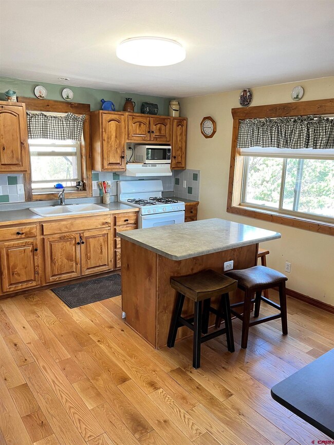 Large kitchen with door to back porch and yard