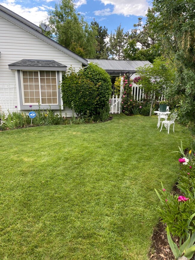 IMG-0691 (1)