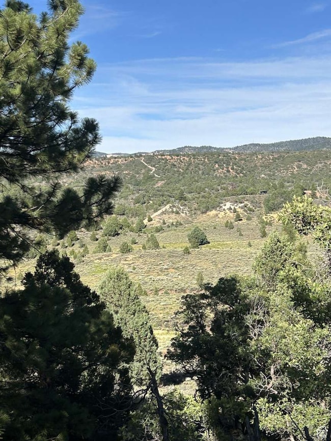 View of undeveloped land