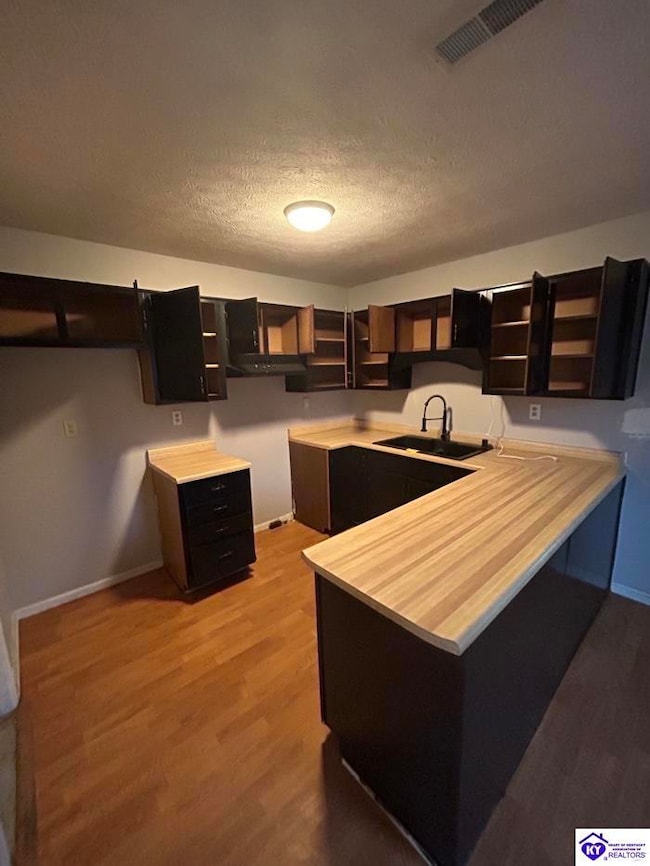 2857 Rineyville-Big Springs Rd, Rineyville, KY 40162 - photo 6