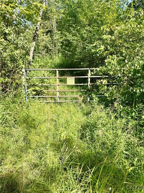 1792 Steve Russell Hill Rd, Freetown, NY 13803 - photo 2