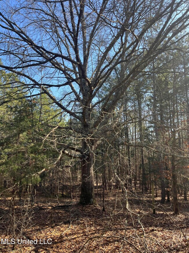 image0 (6)