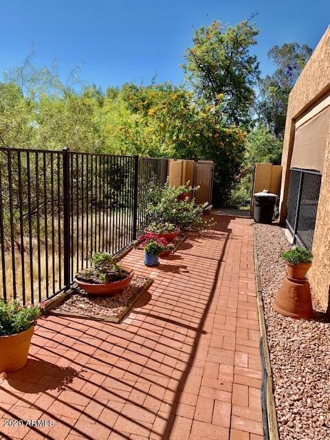 Side Yard