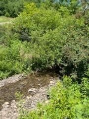 39 Sherman Hill Rd, Sidney, NY 13838 - photo 4