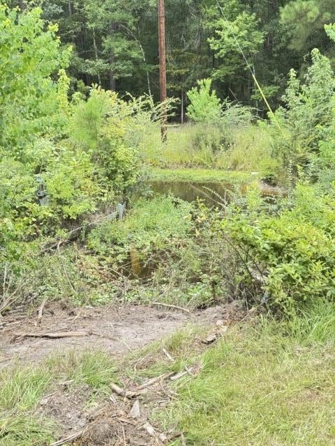 503 Shirley Loop, Deridder, LA 70634 - photo 6