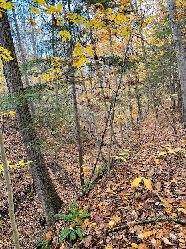 476 Missing Link Rd, Springfield, VT 05156 - photo 5