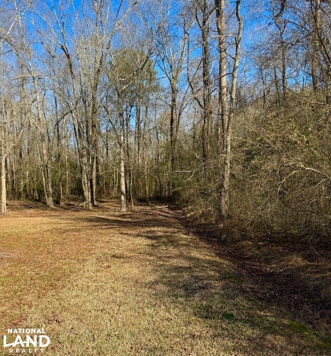 0 S Fred Cir, Kenly, NC 27542 - photo 4