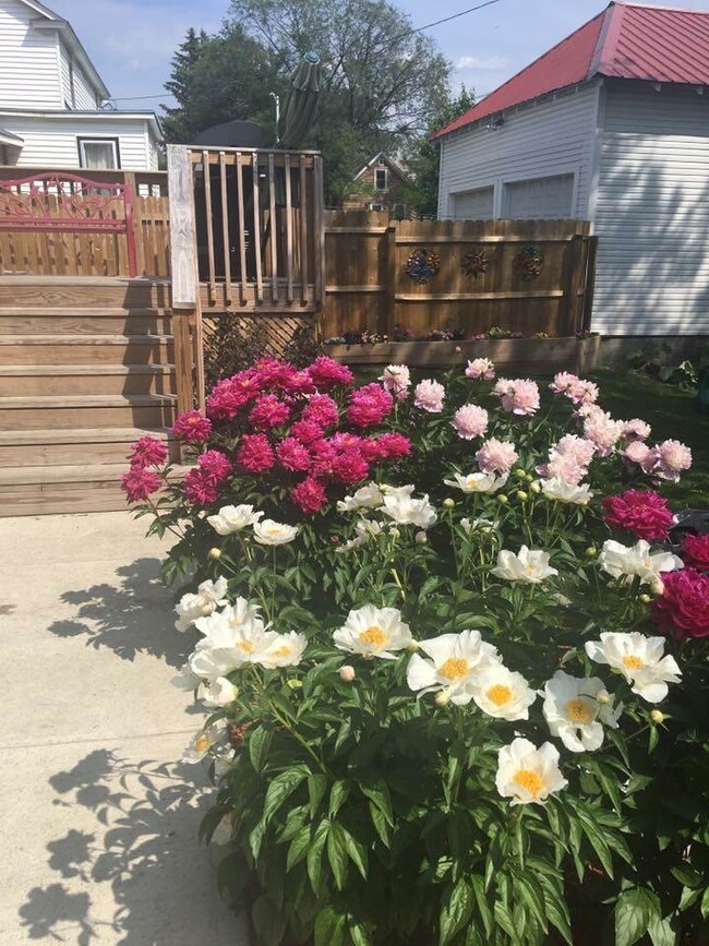 12 W Spring St, Winooski, VT 05404 - photo 5