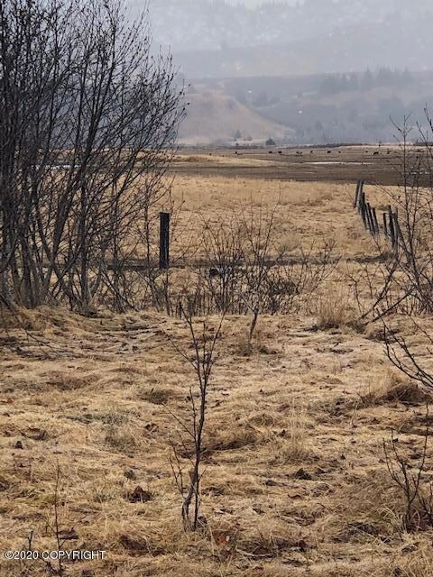 Kalsin Parcel