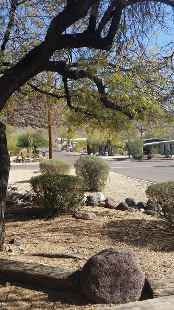 Front Yard