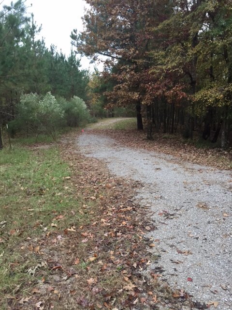 00 Highlands Dr, Oxford, MS 38655 - photo 2