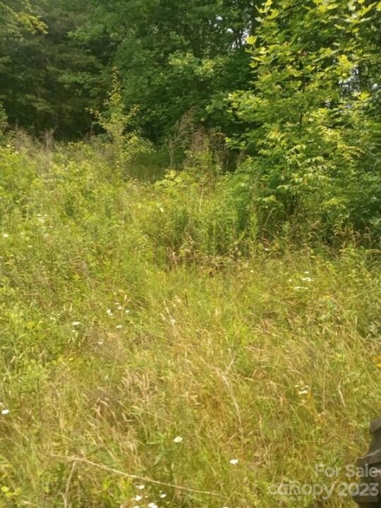 134 Pony Run Ln, Statesville, NC 28625 - photo 3