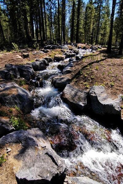 229 Trailmere Cir, Bend, OR 97707 - photo 3