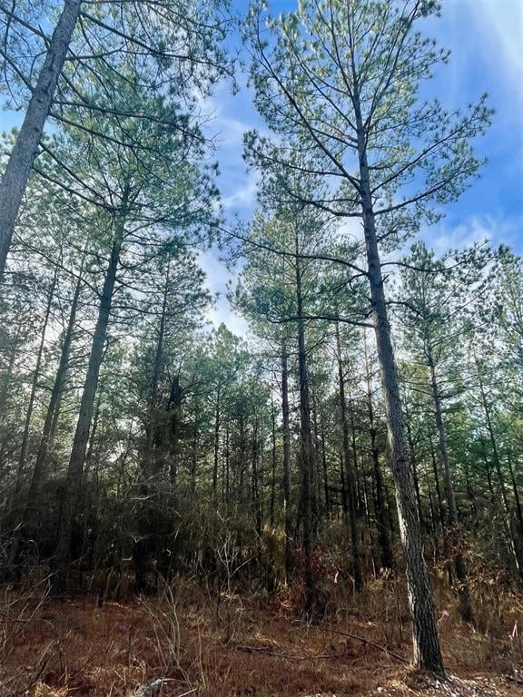 View of mother earth's splendor