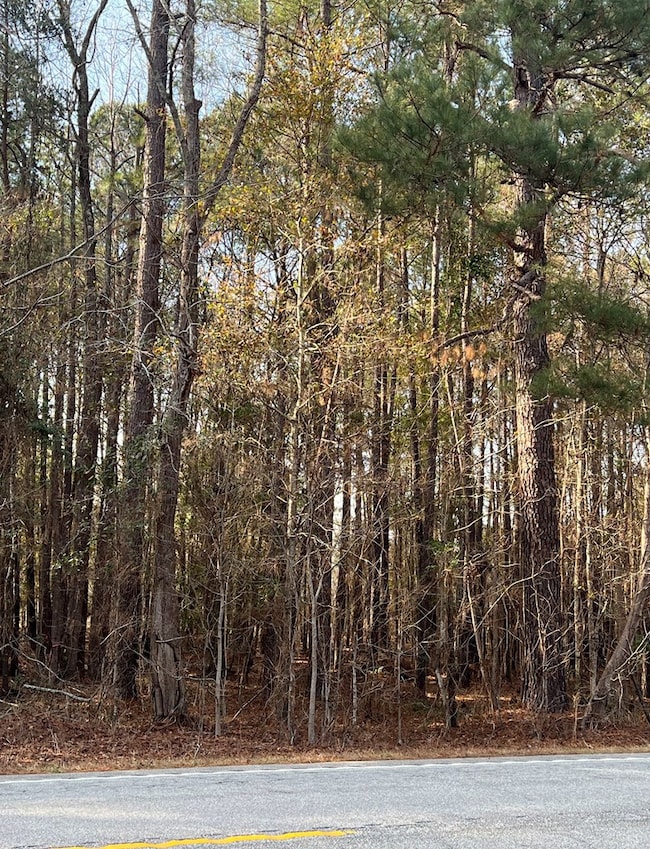 TBD S Carolina 260, Manning, SC - photo 3