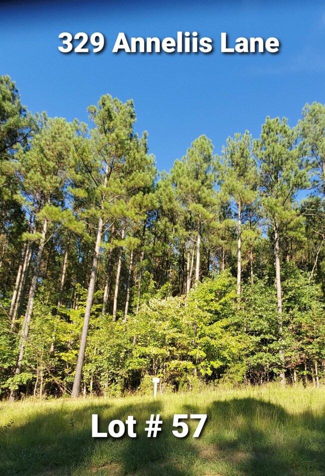 329 Anneliis Ln, Siler City, NC 27344 - photo 2