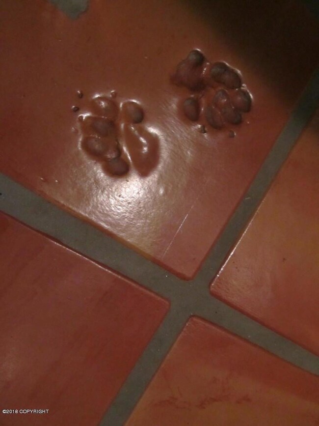 Saltillo Tiles