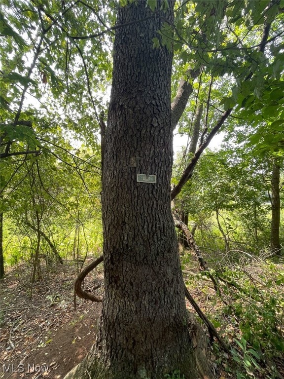 10411 Scatell St NW, Canal Fulton, OH 44614 - photo 5