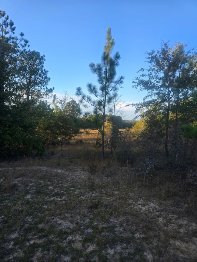 Tbd Hamilton Branch Way, Aiken, SC 29803 - photo 7