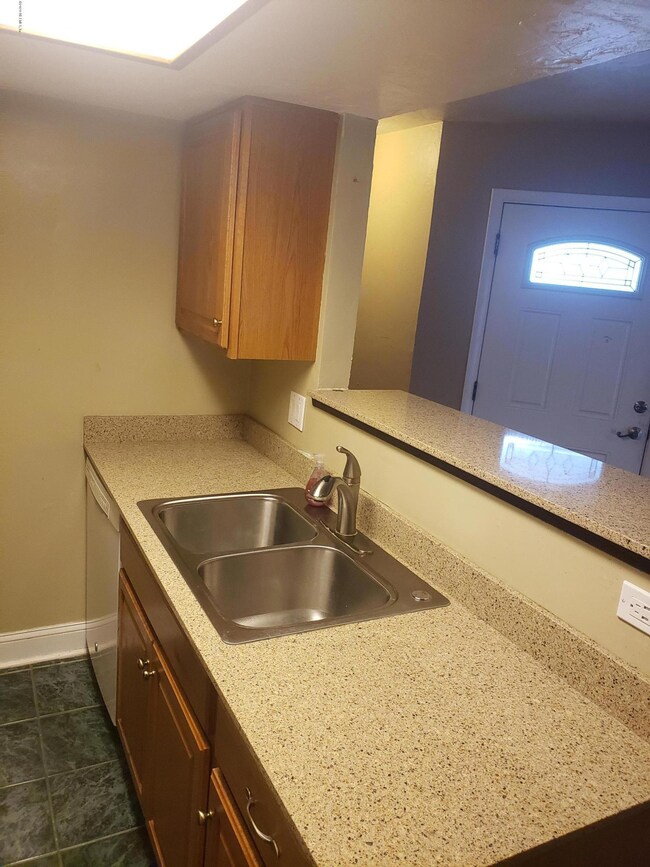 Kitchen Sink Area