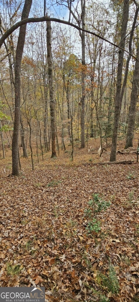 0 N Falling Waters Dr unit 10648155, Demorest, GA 30535 - photo 3
